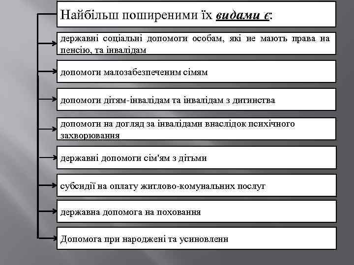 Найбільш поширеними їх видами є: державні соціальні допомоги особам, які не мають права на