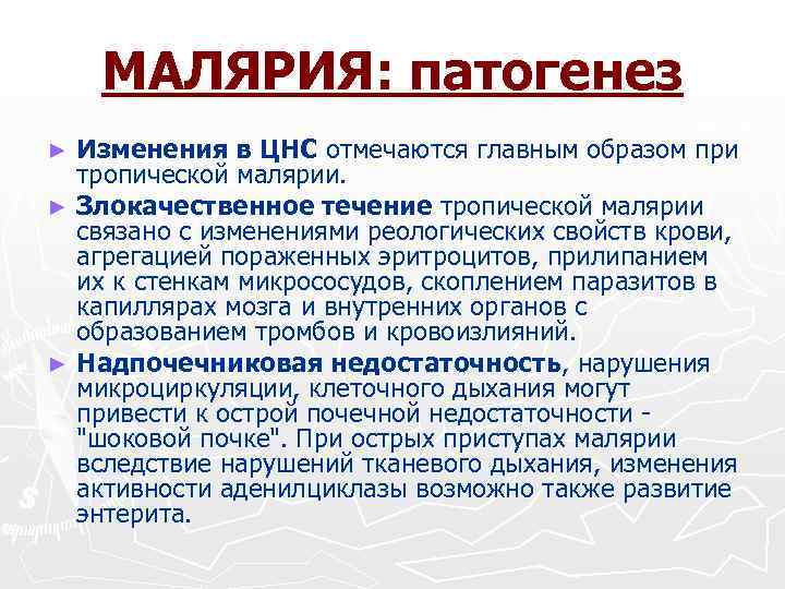 МАЛЯРИЯ: патогенез Изменения в ЦНС отмечаются главным образом при тропической малярии. ► Злокачественное течение