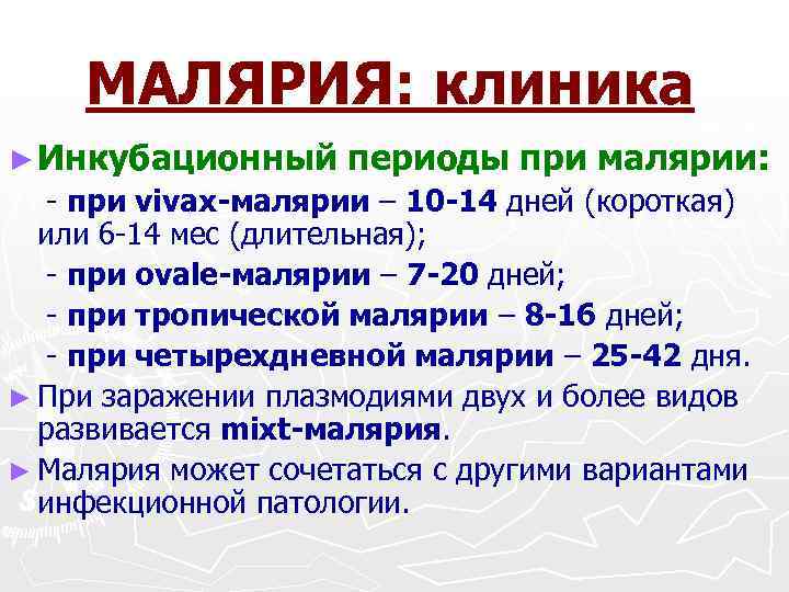 МАЛЯРИЯ: клиника ► Инкубационный периоды при малярии: при vivax-малярии – 10 -14 дней (короткая)
