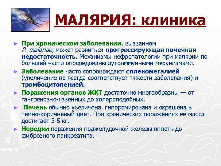 МАЛЯРИЯ: клиника ► ► ► При хроническом заболевании, вызванном Р. malariae, может развиться прогрессирующая