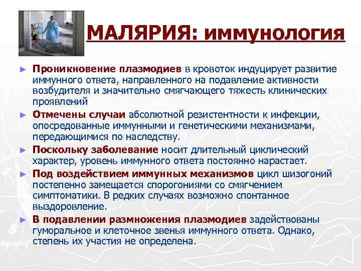 МАЛЯРИЯ: иммунология ► ► ► Проникновение плазмодиев в кровоток индуцирует развитие иммунного ответа, направленного