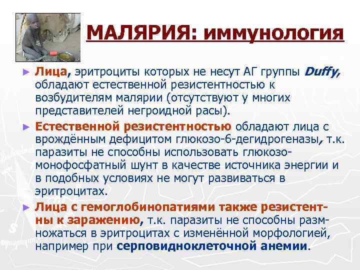 МАЛЯРИЯ: иммунология Лица, эритроциты которых не несут АГ группы Duffy, обладают естественной резистентностью к