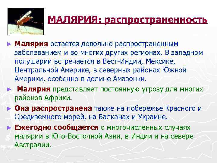 МАЛЯРИЯ: распространенность Малярия остается довольно распространенным заболеванием и во многих других регионах. В западном