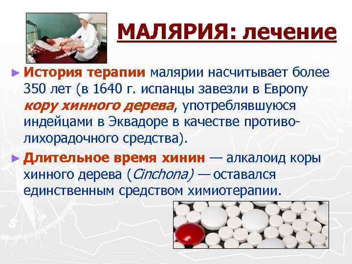 МАЛЯРИЯ: лечение ► История терапии малярии насчитывает более 350 лет (в 1640 г. испанцы