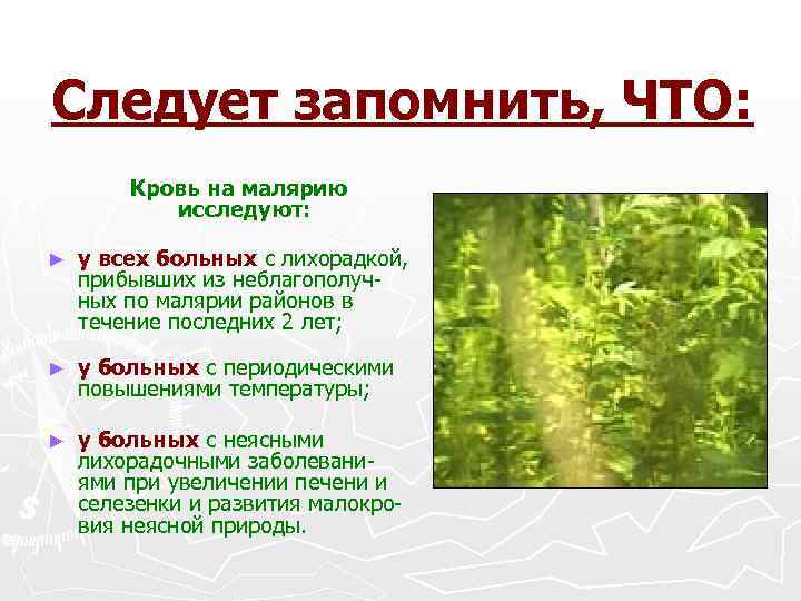 Следует запомнить, ЧТО: Кровь на малярию исследуют: ► у всех больных с лихорадкой, прибывших