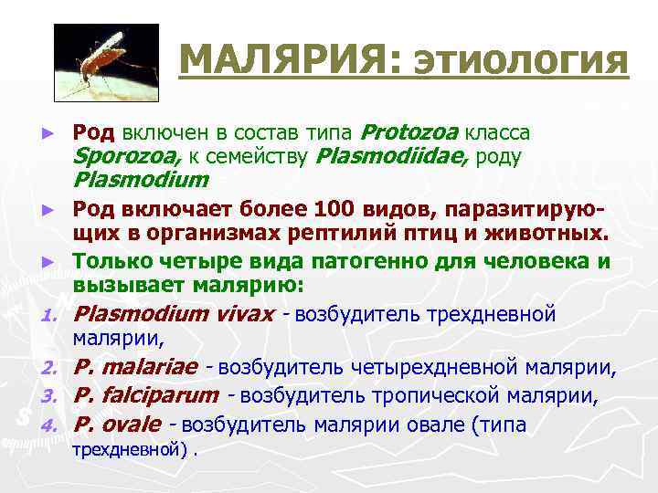 МАЛЯРИЯ: этиология ► ► ► 1. 2. 3. 4. Род включен в состав типа