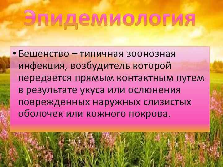  • Бешенство – типичная зоонозная инфекция, возбудитель которой передается прямым контактным путем в