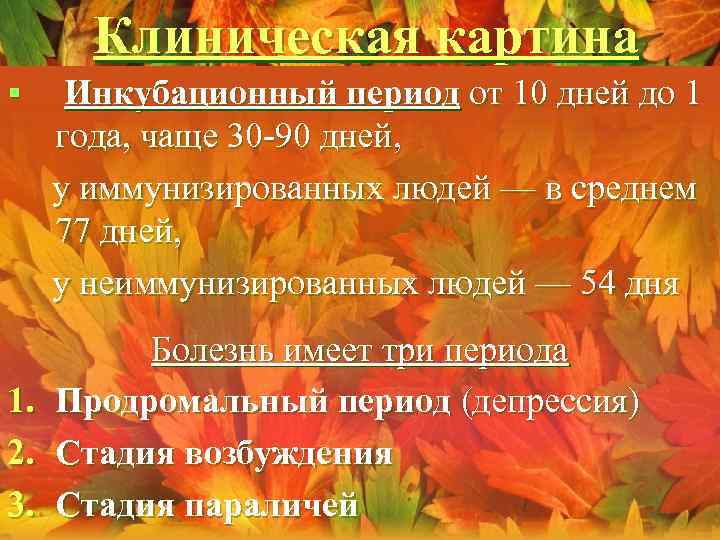 Клиническая картина Инкубационный период от 10 дней до 1 года, чаще 30 -90 дней,