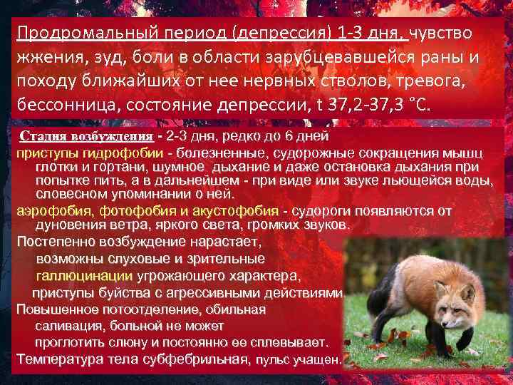 Продромальный период (депрессия) 1 -3 дня, чувство жжения, зуд, боли в области зарубцевавшейся раны