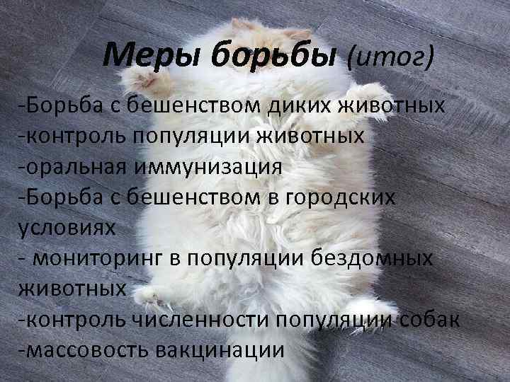 Меры борьбы (итог) -Борьба с бешенством диких животных -контроль популяции животных -оральная иммунизация -Борьба