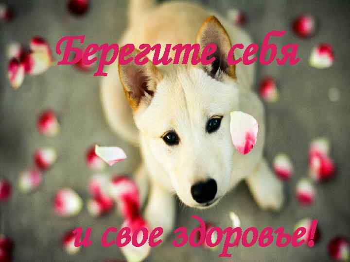 Берегите себя и свое здоровье! 
