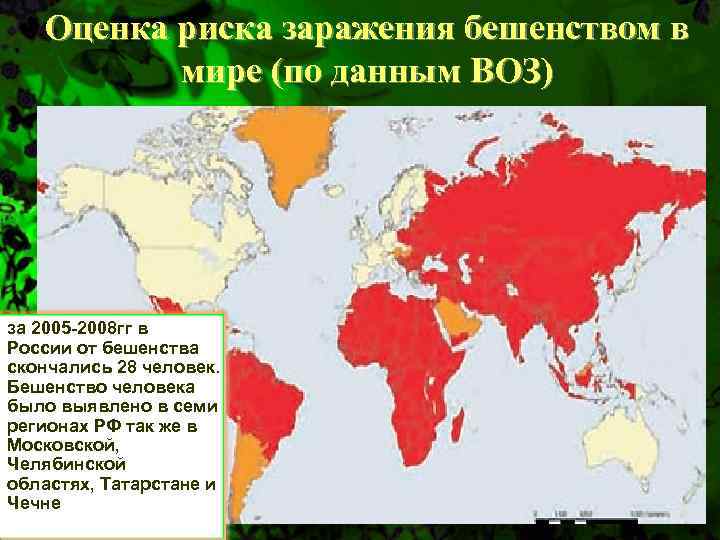Оценка риска заражения бешенством в мире (по данным ВОЗ) за 2005 -2008 гг в
