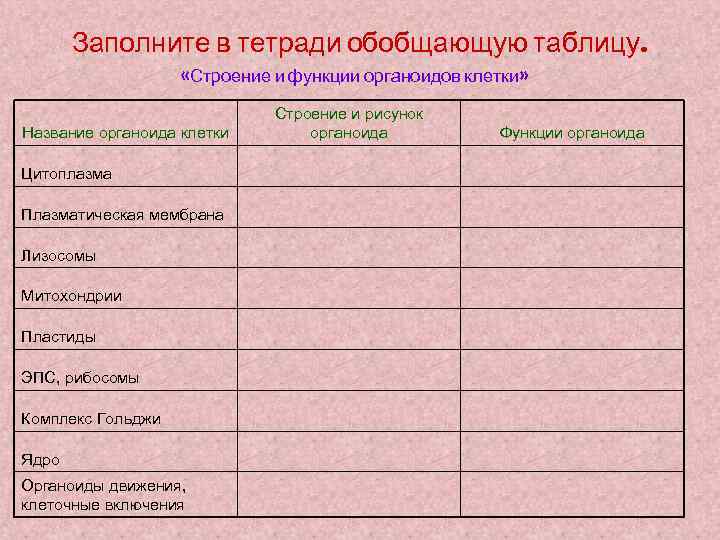 Заполните в тетради обобщающую таблицу. «Строение и функции органоидов клетки» Название органоида клетки Цитоплазма