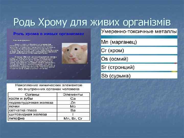 Родь Хрому для живих організмів 