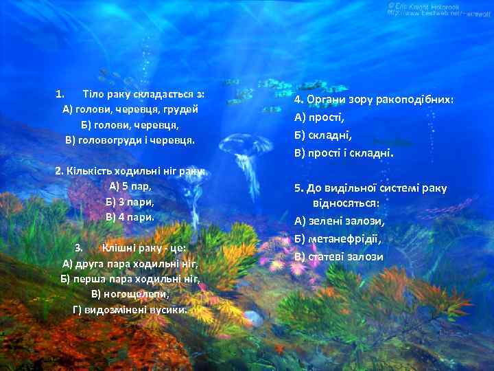 1. Тіло раку складається з: А) голови, черевця, грудей Б) голови, черевця, В) головогруди