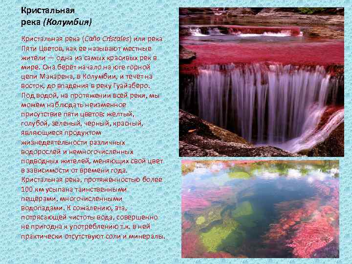 Кристальная река (Колумбия) Кристальная река (Caño Cristales) или река Пяти Цветов, как ее называют