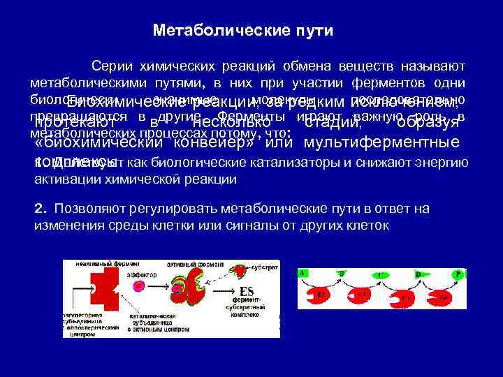 Реакции обмена веществ