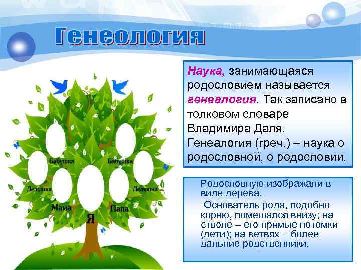 Наука, занимающаяся родословием называется генеалогия. Так записано в толковом словаре Владимира Даля. Генеалогия (греч.