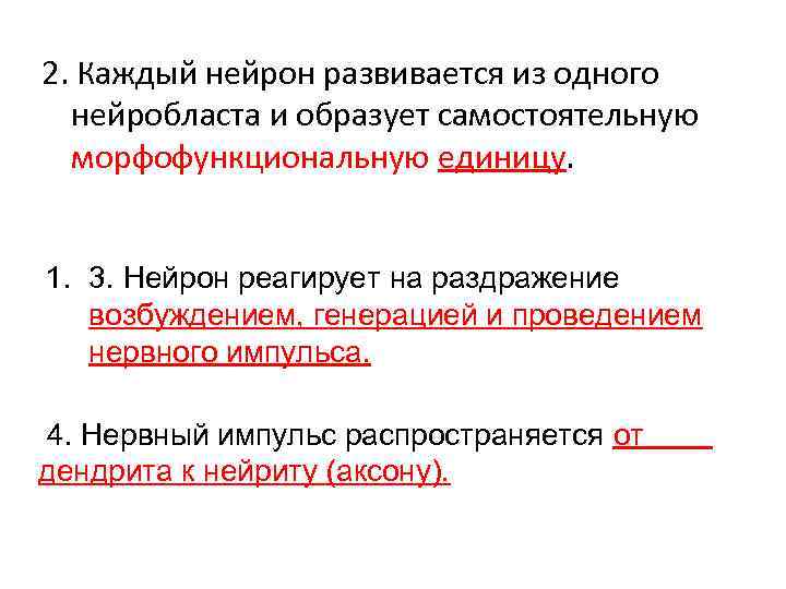 2. Каждый нейрон развивается из одного нейробласта и образует самостоятельную морфофункциональную единицу. 1. 3.