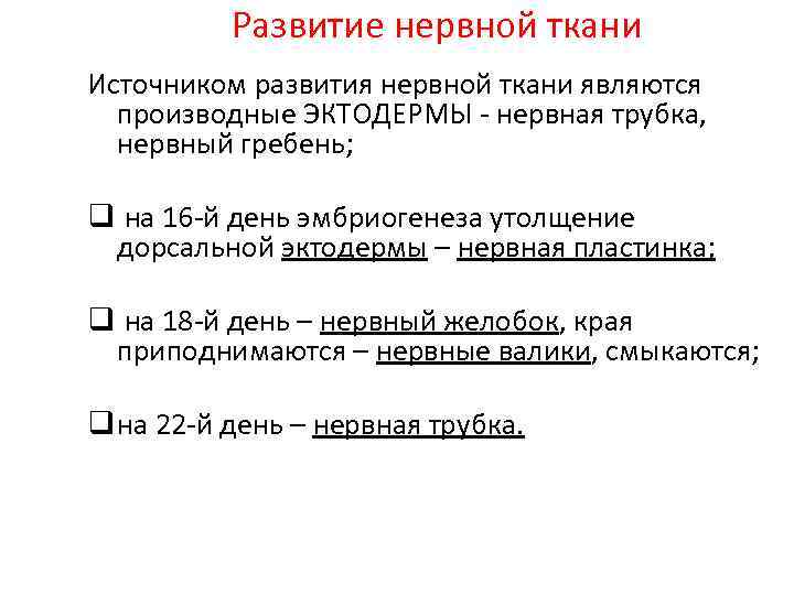 Развитие нервной ткани Источником развития нервной ткани являются производные ЭКТОДЕРМЫ - нервная трубка, нервный