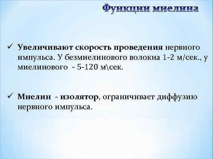 ü Увеличивают скорость проведения нервного импульса. У безмиелинового волокна 1 -2 м/сек. , у