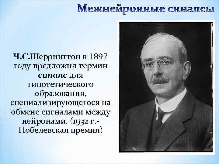 Ч. С. Шеррингтон в 1897 году предложил термин синапс для гипотетического образования, специализирующегося на