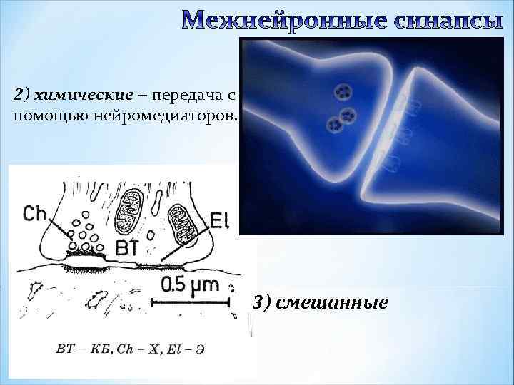 2) химические – передача с помощью нейромедиаторов. 3) смешанные 