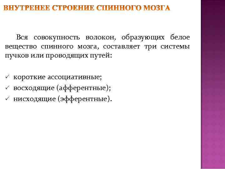 Вся совокупность волокон, образующих белое вещество спинного мозга, составляет три системы пучков или проводящих