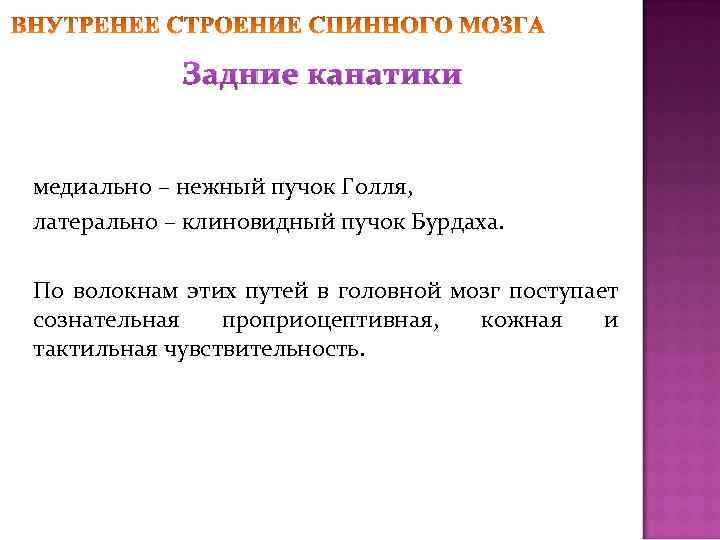 Задние канатики медиально – нежный пучок Голля, латерально – клиновидный пучок Бурдаха. По волокнам