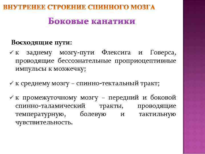 Боковые канатики Восходящие пути: ü к заднему мозгу-пути Флексига и Говерса, проводящие бессознательные проприоцептивные