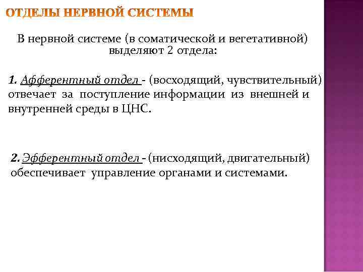 В нервной системе (в соматической и вегетативной) выделяют 2 отдела: 1. Афферентный отдел -