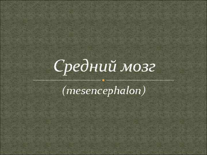 Средний мозг (mesencephalon) 