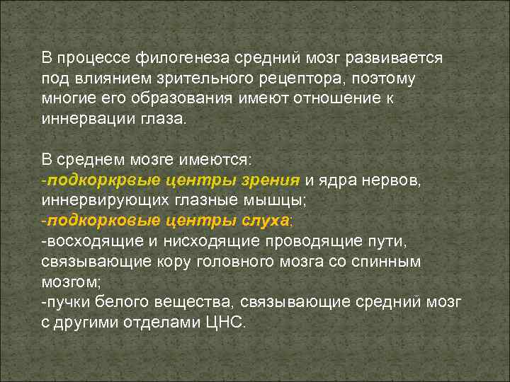 В процессе филогенеза средний мозг развивается под влиянием зрительного рецептора, поэтому многие его образования