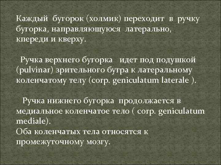 Каждый бугорок (холмик) переходит в ручку бугорка, направляющуюся латерально, кпереди и кверху. Ручка верхнего