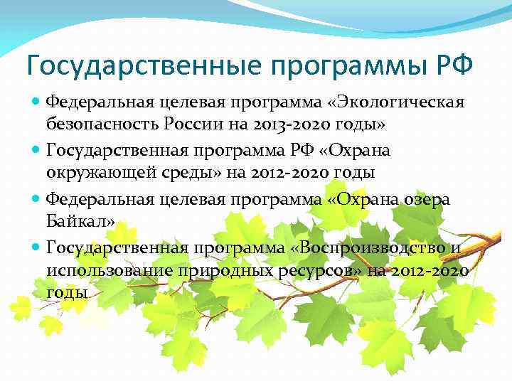 Природная программа. Программа защиты окружающей среды. Государственные программы по охране окружающей среды. Государственные программы по экологии. Экологические программы в России.