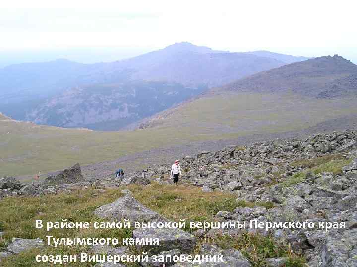 В районе самой высокой вершины Пермского края - Тулымского камня создан Вишерский заповедник 