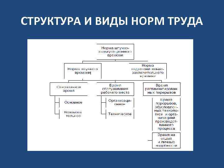 Виды норм труда