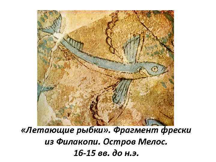  «Летающие рыбки» . Фрагмент фрески из Филакопи. Остров Мелос. 16 -15 вв. до