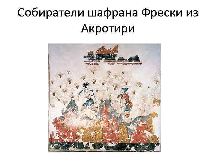 Собиратели шафрана Фрески из Акротири 