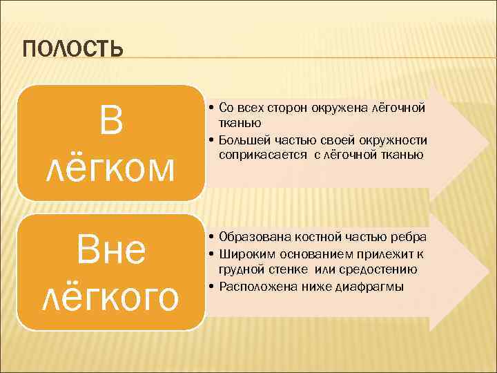ПОЛОСТЬ В лёгком • Со всех сторон окружена лёгочной тканью • Большей частью своей