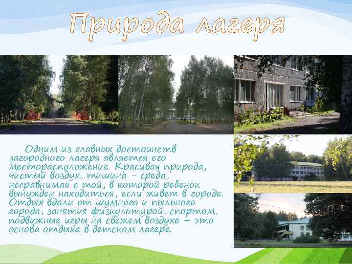 Природа лагеря Одним из главных достоинств загородного лагеря является его месторасположение. Красивая природа, чистый