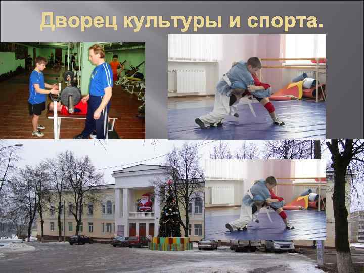 Дворец культуры и спорта. 