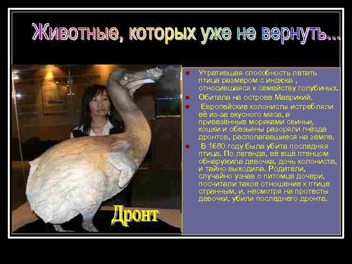 n n Утратившая способность летать птица размером с индюка , относившаяся к семейству голубиных.