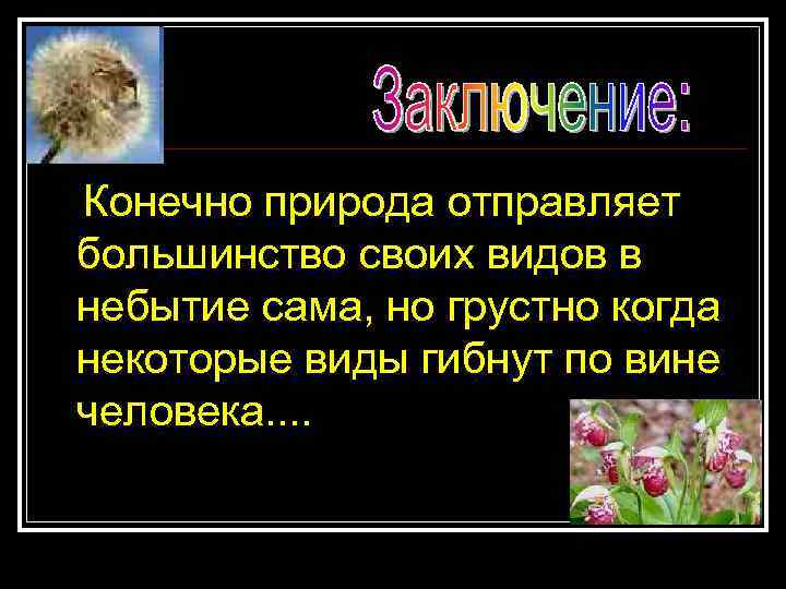 Конечно природа отправляет большинство своих видов в небытие сама, но грустно когда некоторые виды