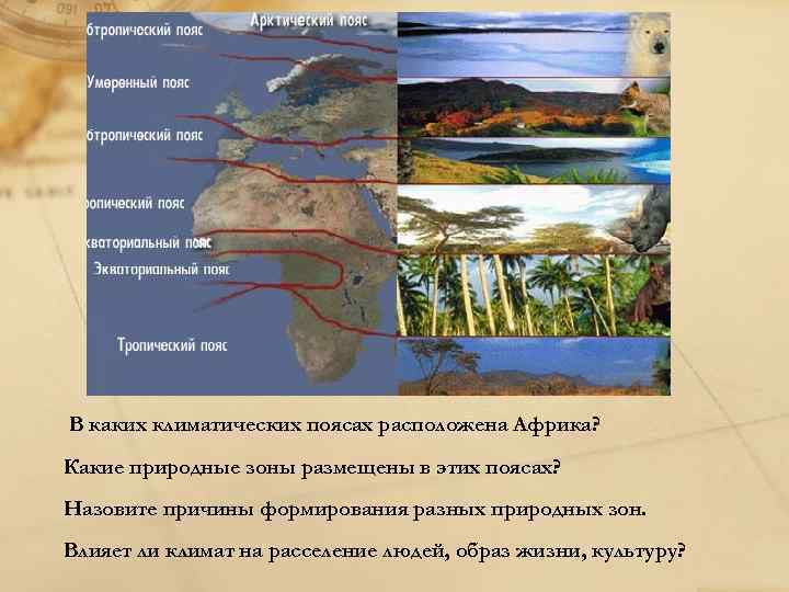 В каких климатических поясах расположена Африка? Какие природные зоны размещены в этих поясах? Назовите