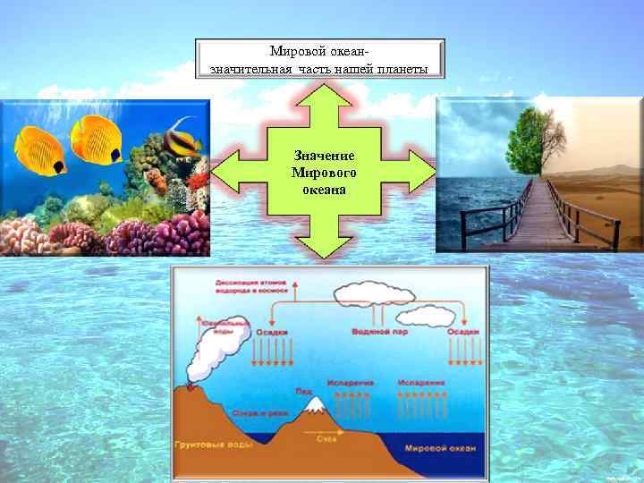 Мировой океанзначительная часть нашей планеты Значение Мирового океана 