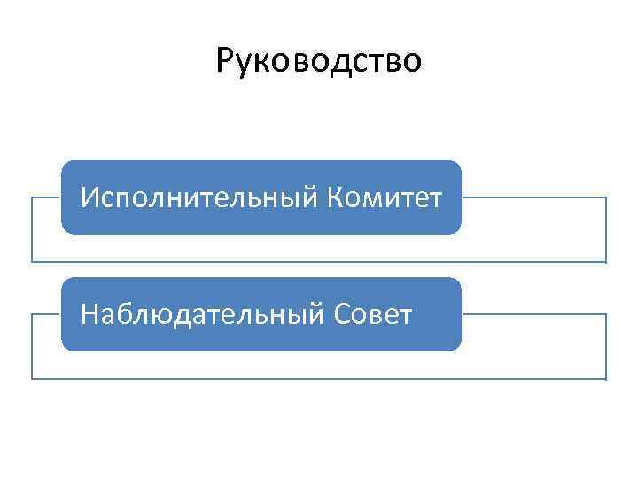 Руководство Исполнительный Комитет Наблюдательный Совет 