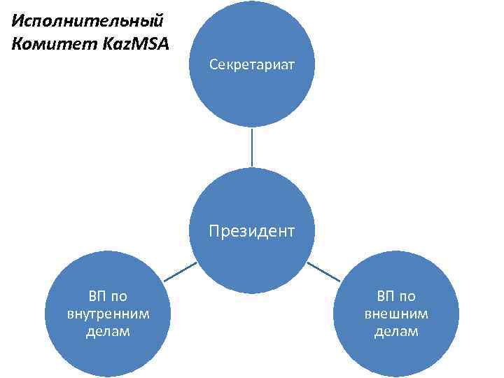 Исполнительный Комитет Kaz. MSA Секретариат Президент ВП по внутренним делам ВП по внешним делам