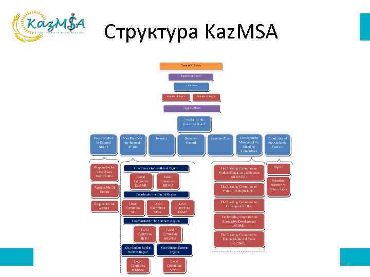 Структура Kaz. MSA 8 