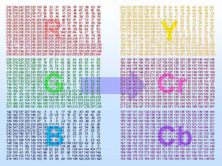 247 234 242 255 232 130 39 32 31 52 54 53 52 56